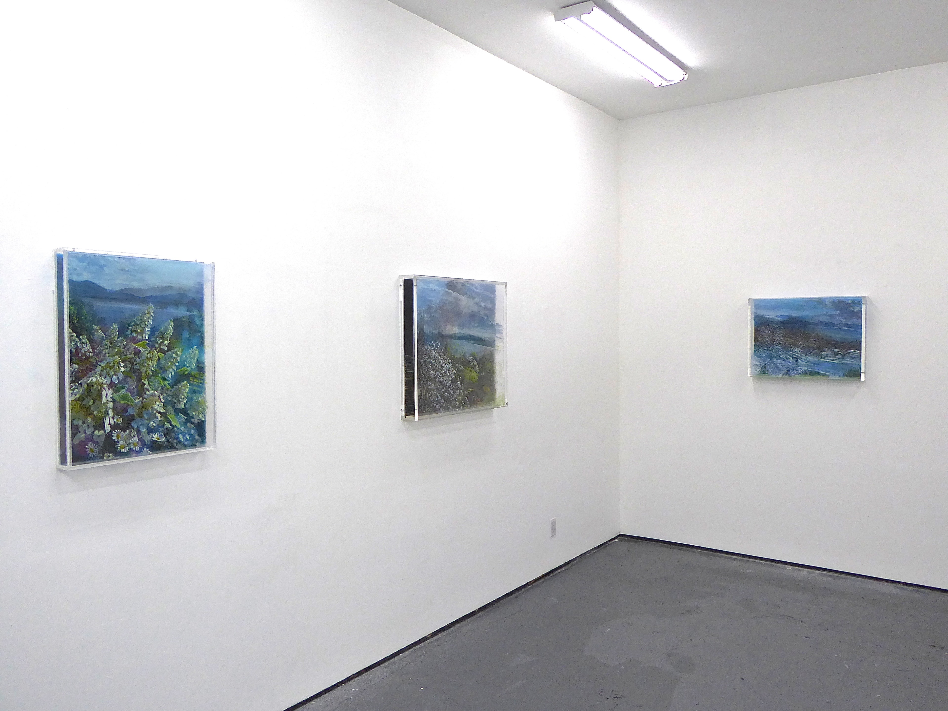 Installation view.