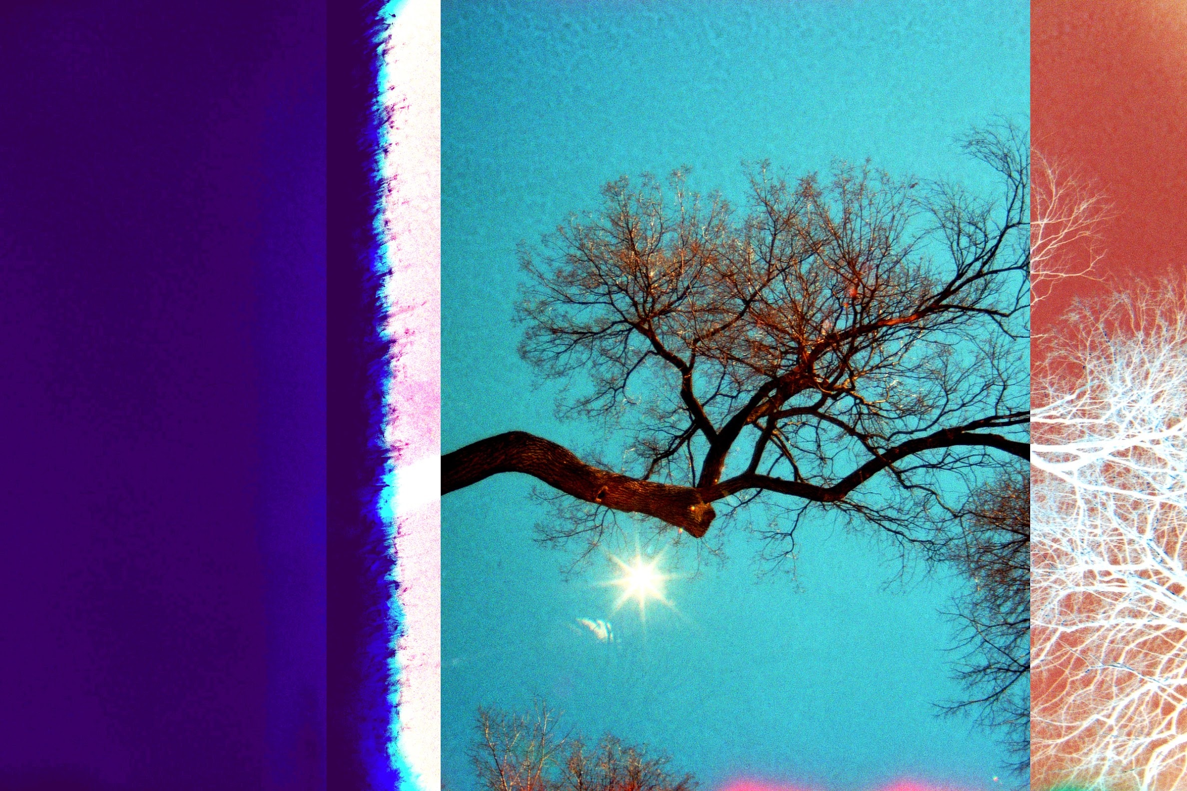 Leah Oates, Transitory Space, Prospect Park, Brooklyn, NYC #12C, 2021
